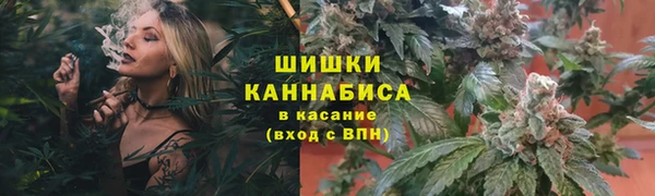 прущие грибы Абинск