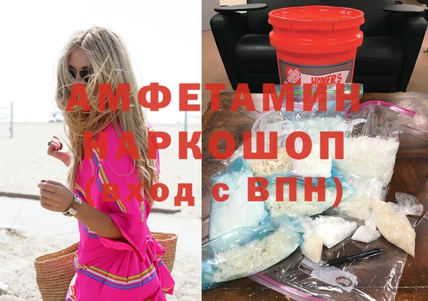 прущие грибы Абинск