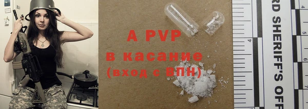 прущие грибы Абинск