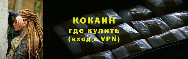 шишки Пестово