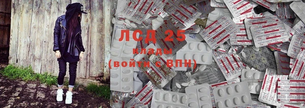 прущие грибы Абинск