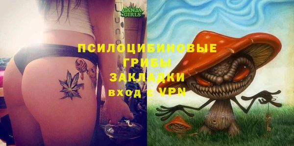прущие грибы Абинск