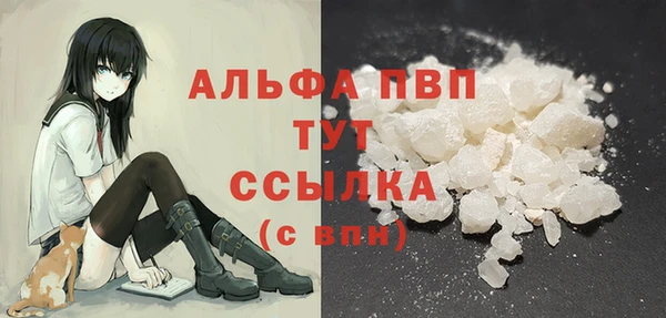 прущие грибы Абинск