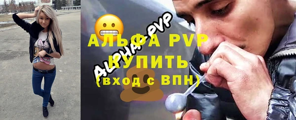 прущие грибы Абинск